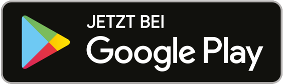 2021 - Bericht - Hauptverein - Google